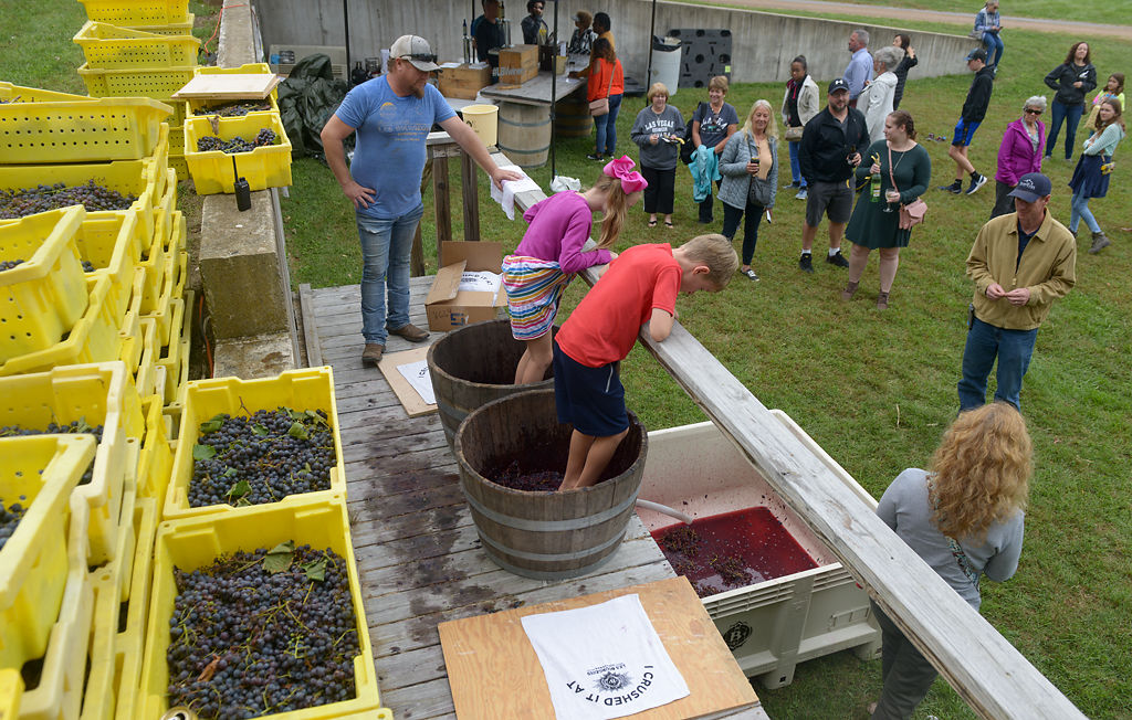 Larry Lopez watches as Natalie Dometrorch and her twin brother Nolan Dometrorch crush grapes
